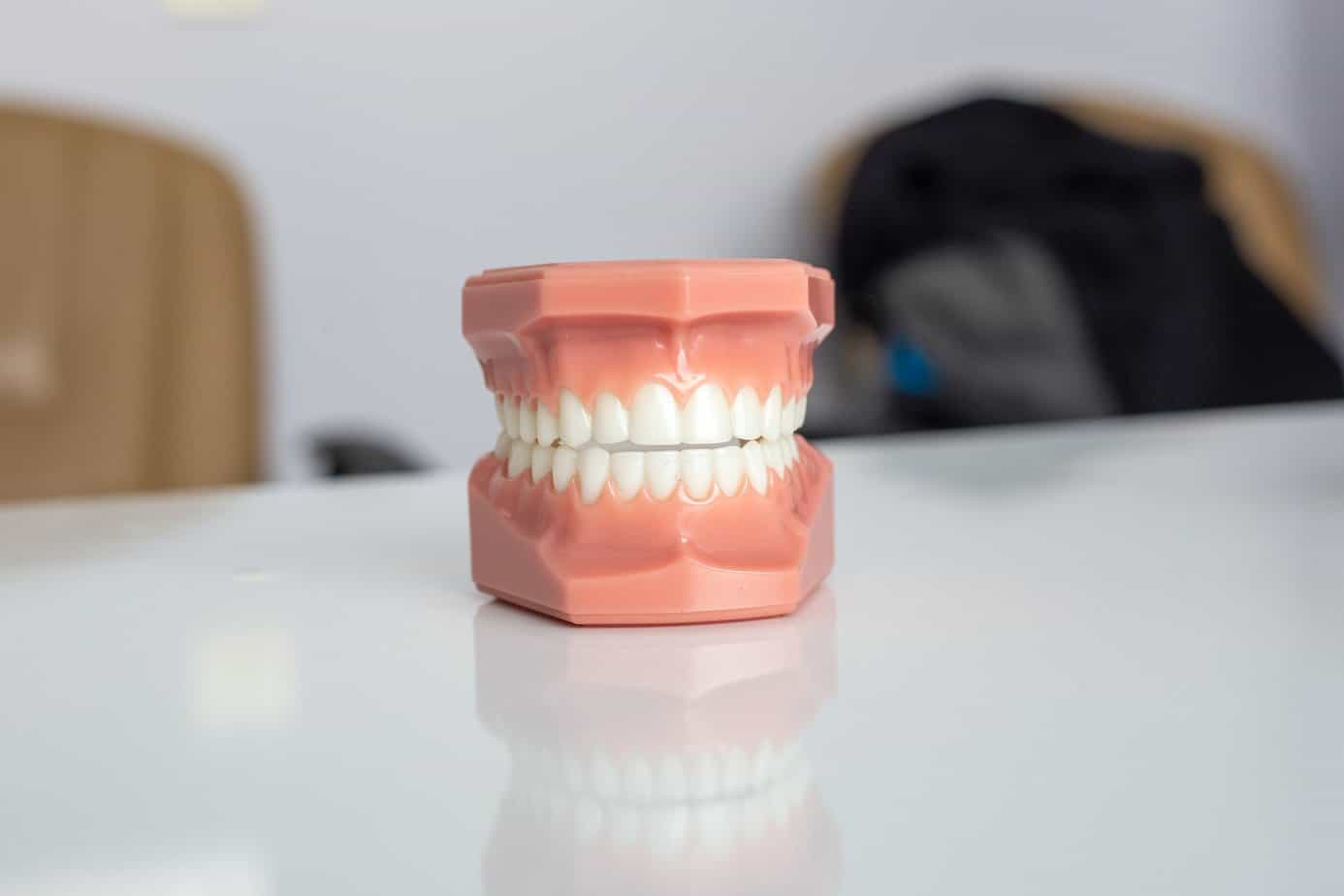 Ciekawostki o zębach – czy wiesz wszystko o uzębieniu?